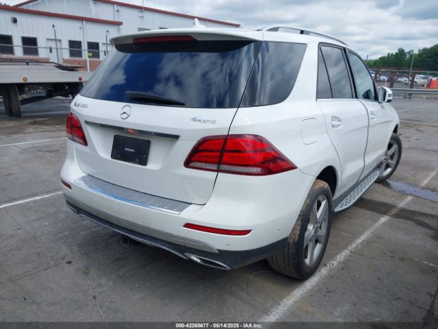 4JGDA5HB6HA989666-4