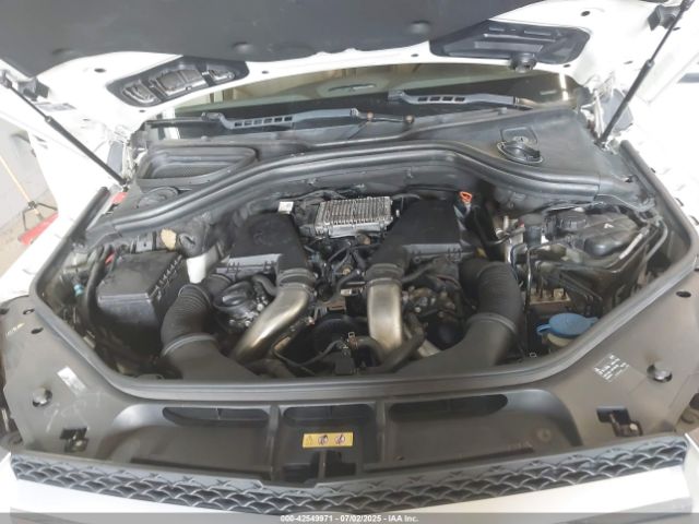 4JGDF7CE3DA149126-10
